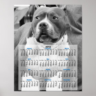 American Staffordshire terrier Poster