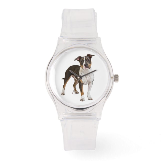 American Staffordshire Terrier Puppy Dog - Amstaff Watch (Front)