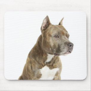 American Staffordshire Terrier Puppy Dog Mousepad