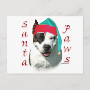 American Staffordshire Terrier Santa Paws Holiday Postcard