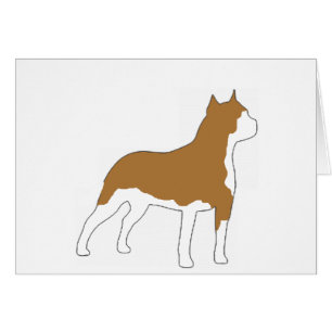 american-staffordshire-terrier- silo colour.png