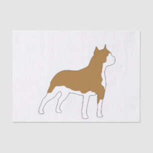 american-staffordshire-terrier- silo colour.png tissue paper