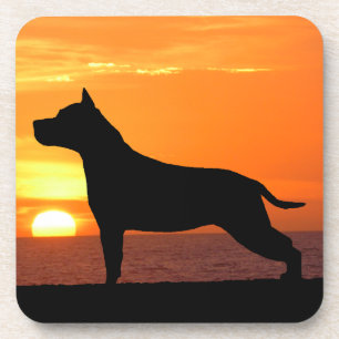 American Staffordshire Terrier Sunset Coaster Set