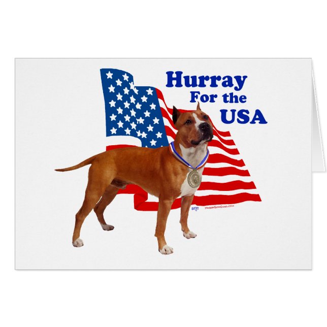 American Staffordshire Terrier USA (Front Horizontal)