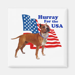 American Staffordshire Terrier USA Magnet