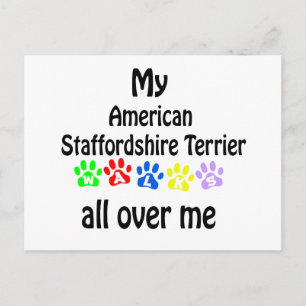 American Staffordshire Terrier Walks Design Postcard