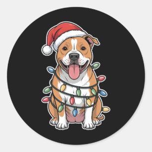 American Staffordshire Terrier Wrapped In Christma Classic Round Sticker