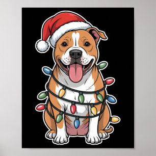 American Staffordshire Terrier Wrapped In Christma Poster