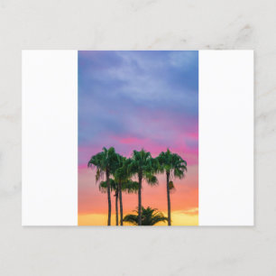 American Sunset (43) Postcard