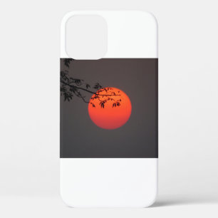 American Sunset (46) iPhone 12 Case