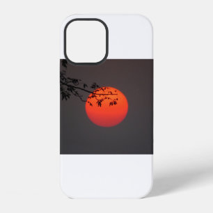 American Sunset (46) iPhone 12 Case