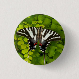 American Swallowtail Butterfly 3 Cm Round Badge