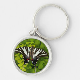 American Swallowtail Butterfly Key Ring