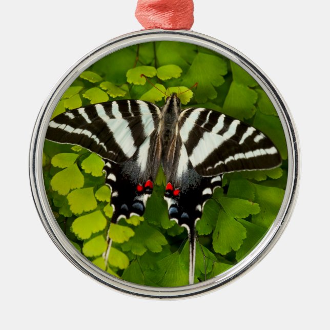 American Swallowtail Butterfly Metal Ornament (Front)