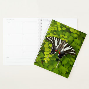 American Swallowtail Butterfly Planner