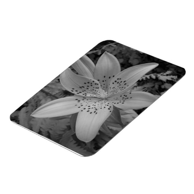American Tiger Lily Magnet (Left Side)