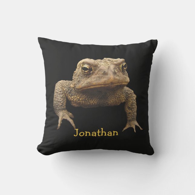 American Toad Animal Brown Black Outdoor Pillow (Front)