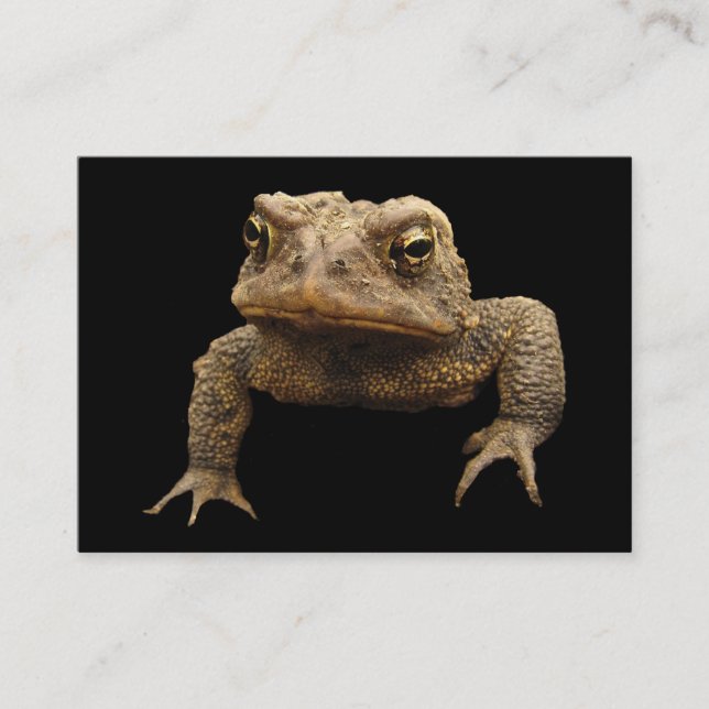 American Toad ATC Business Card (Front)