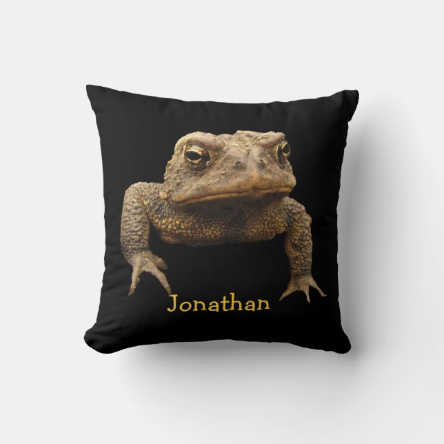 American Toad Cushion (Front)
