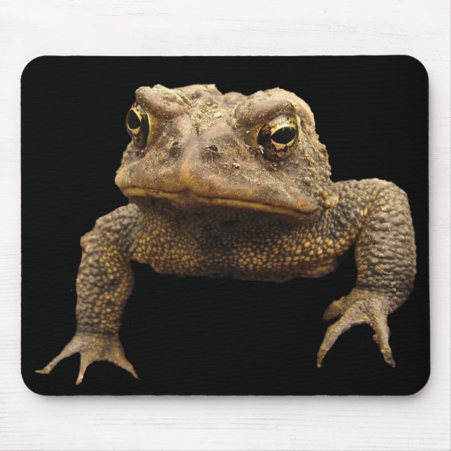 American Toad Mouse Pad (Front)
