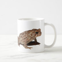 American Toad Mug