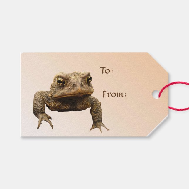 American Toad Pack of Gift Tags (Front (Horizontal))
