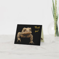 American Toad Thank You