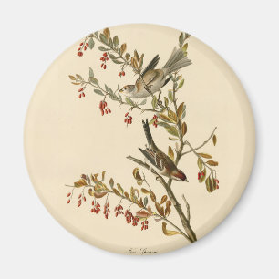 American Tree Sparrow, Audubon's Birds of America Magnet