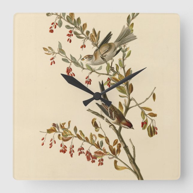American Tree Sparrow, Audubon's Birds of America Square Wall Clock (Front)
