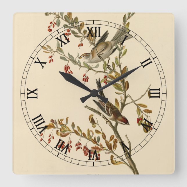 American Tree Sparrow, Audubon's Birds of America Square Wall Clock (Front)