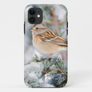 American Tree Sparrow in winter iPhone 11 Case