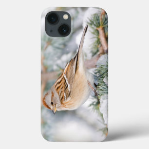 American Tree Sparrow in winter iPhone 13 Case