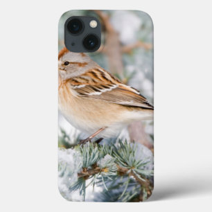 American Tree Sparrow in winter iPhone 13 Case