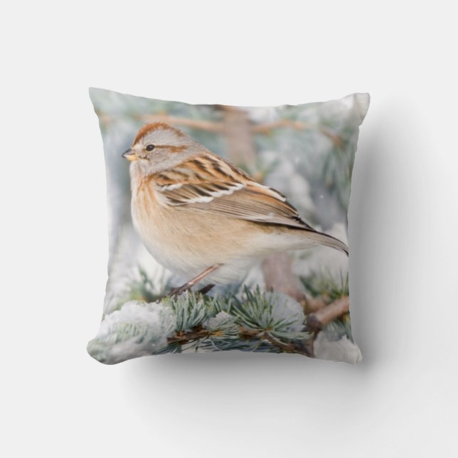 American Tree Sparrow in winter Cushion (Front)