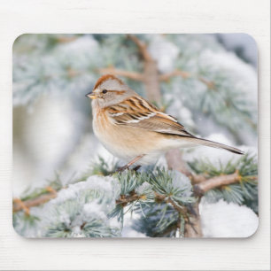American Tree Sparrow in winter Mouse Pad