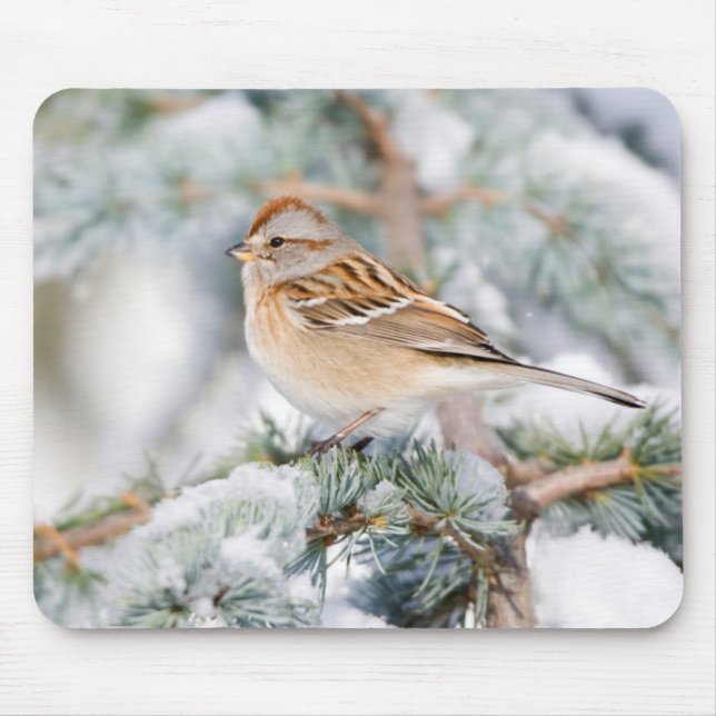 American Tree Sparrow in winter Mouse Pad (Front)