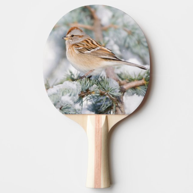 American Tree Sparrow in winter Ping Pong Paddle (Front)