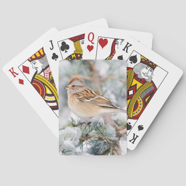 American Tree Sparrow in winter Playing Cards (Back)