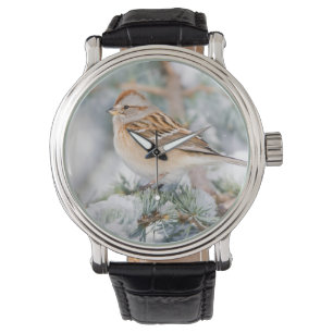 American Tree Sparrow in winter Watch