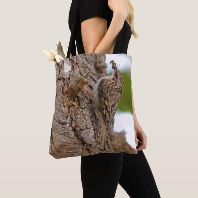 American Treecreeper Songbird with Tasty Bug Tote Bag (Close Up)