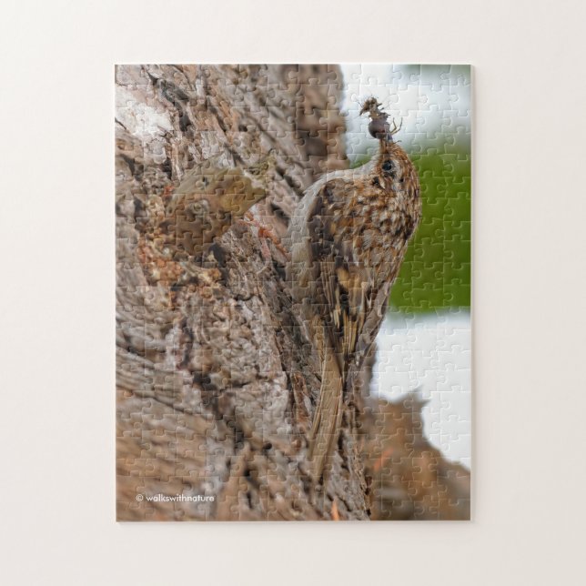 American Treecreeper with Bug Jigsaw Puzzle (Vertical)