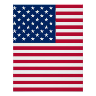 American USA Flag Pride Design Poster
