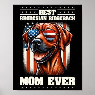 American Usa Flag Rhodesian Ridgeback 4th Of July Poster