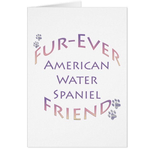 American Water Spaniel Furever (Front)