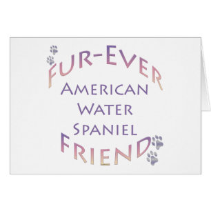 American Water Spaniel Furever