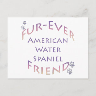 American Water Spaniel Furever Postcard