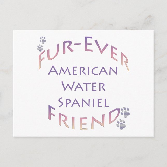 American Water Spaniel Furever Postcard (Front)