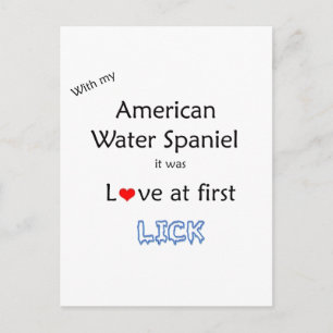 American Water Spaniel Lick Design Postcard