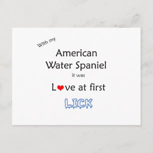 American Water Spaniel Lick Design Postcard