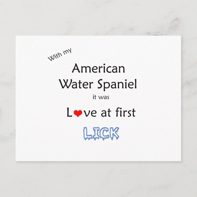 American Water Spaniel Lick Design Postcard (Front)